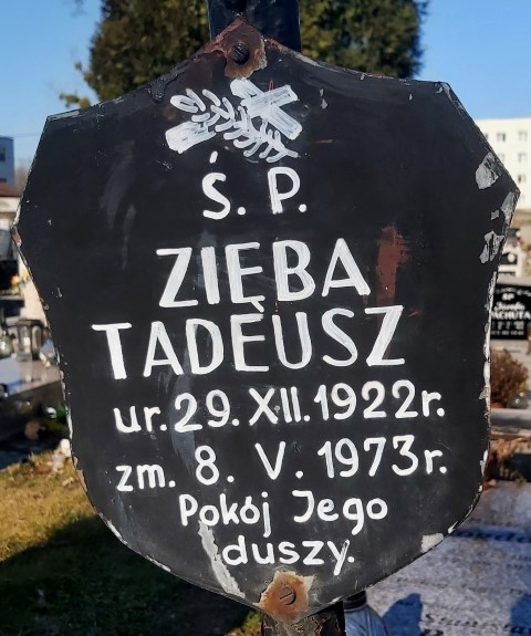 Tadeusz Zięba 1922 Brzeg - Grobonet - Wyszukiwarka osób pochowanych