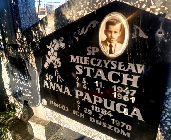 Anna Papuga 1894 Brzeg - Grobonet - Wyszukiwarka osób pochowanych