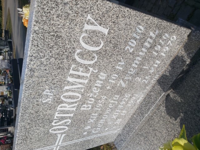  Ostromęcka 1954 Brzeg - Grobonet - Wyszukiwarka osób pochowanych