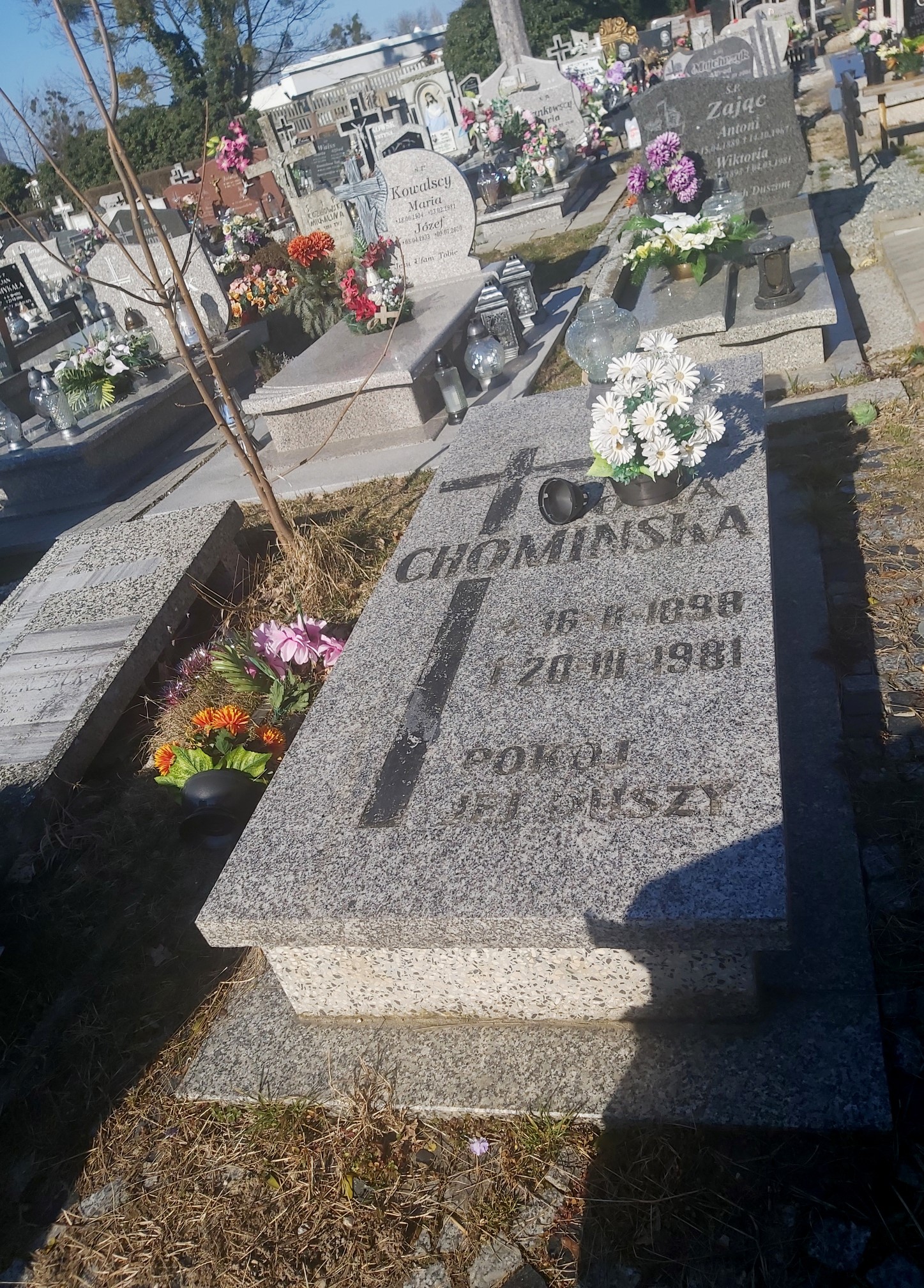 Grób Zofia Chomińska