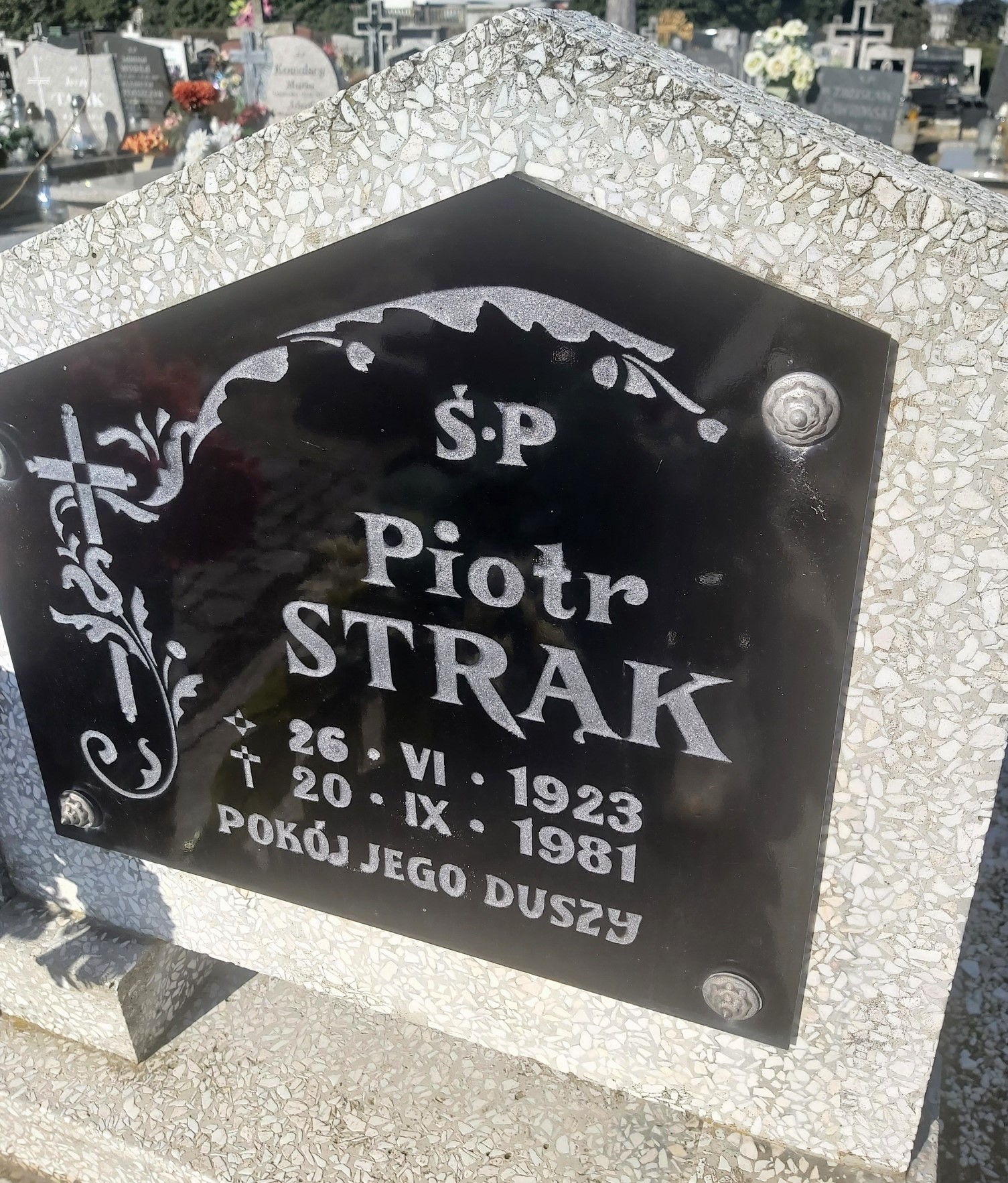 Piotr Strąk 1923 Brzeg - Grobonet - Wyszukiwarka osób pochowanych