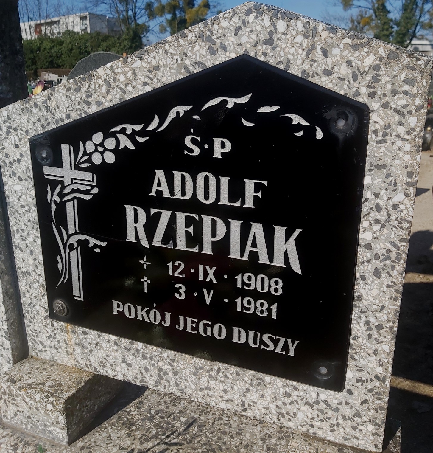 Adolf Rzepiak 1908 Brzeg - Grobonet - Wyszukiwarka osób pochowanych