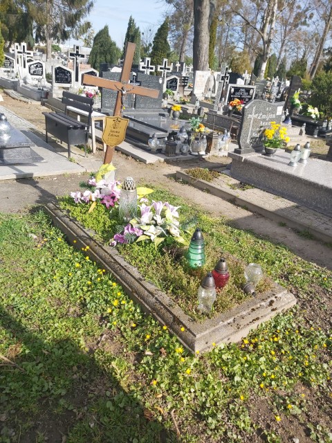 Grób Janusz Zelenay