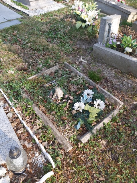 Jacek Kunicki 1972 Brzeg - Grobonet - Wyszukiwarka osób pochowanych