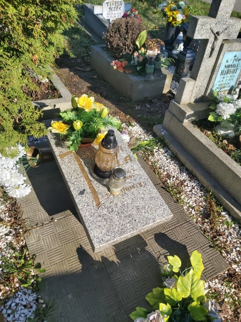 Anna Szela 1973 Brzeg - Grobonet - Wyszukiwarka osób pochowanych