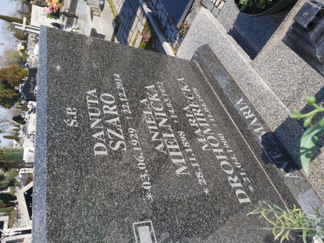 Maria Drohomirecka 1900 Brzeg - Grobonet - Wyszukiwarka osób pochowanych