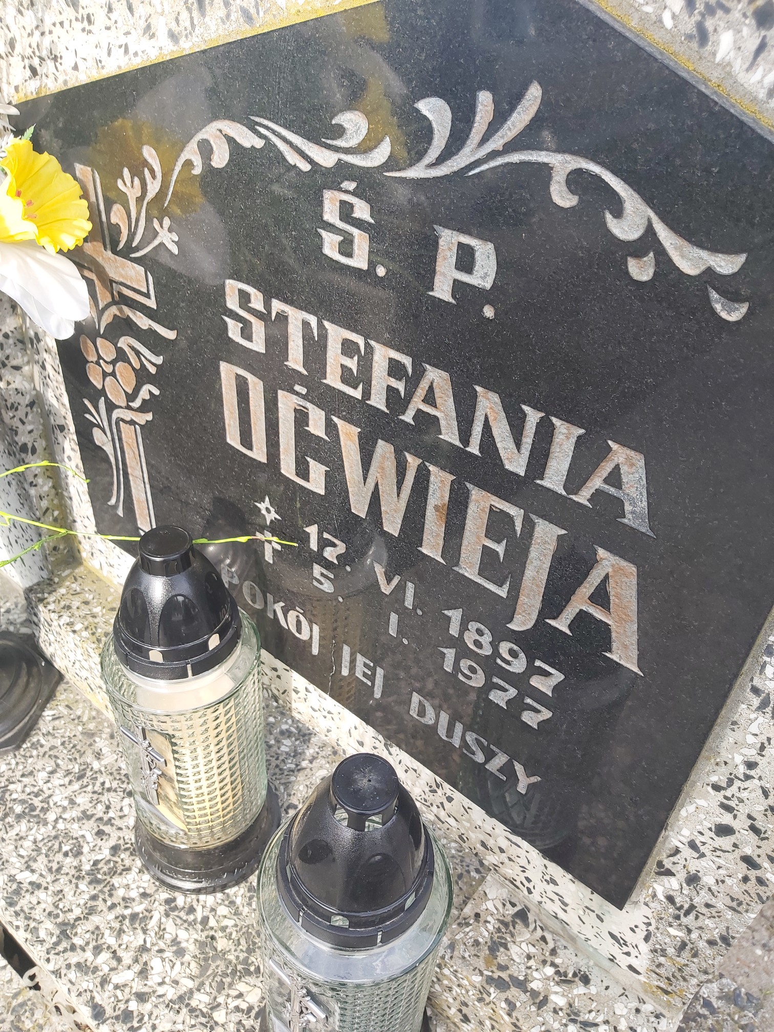 Karol Oćwieja 1883 Brzeg - Grobonet - Wyszukiwarka osób pochowanych