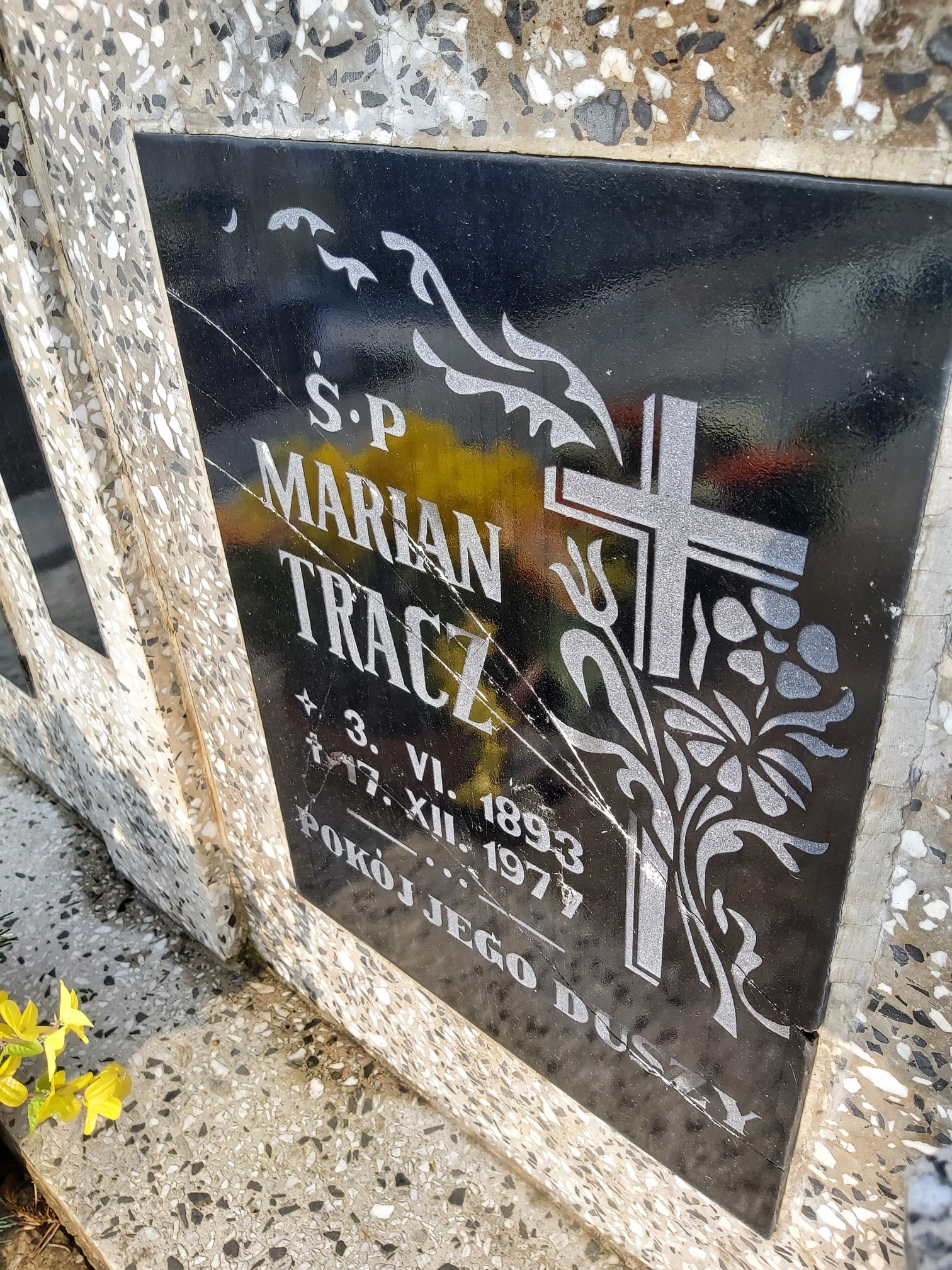 Grób Maria Tracz