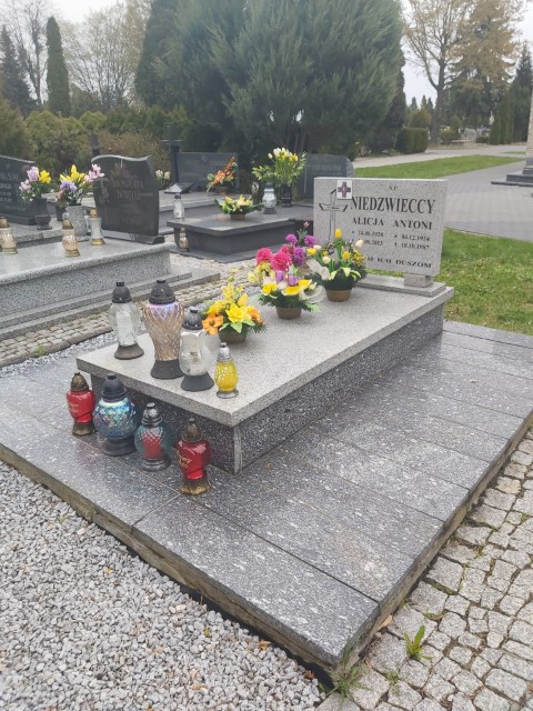 Grób Alicja Niedźwiecka