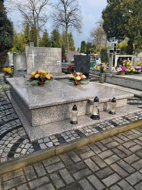 Marian Strutyński 1919 Brzeg - Grobonet - Wyszukiwarka osób pochowanych