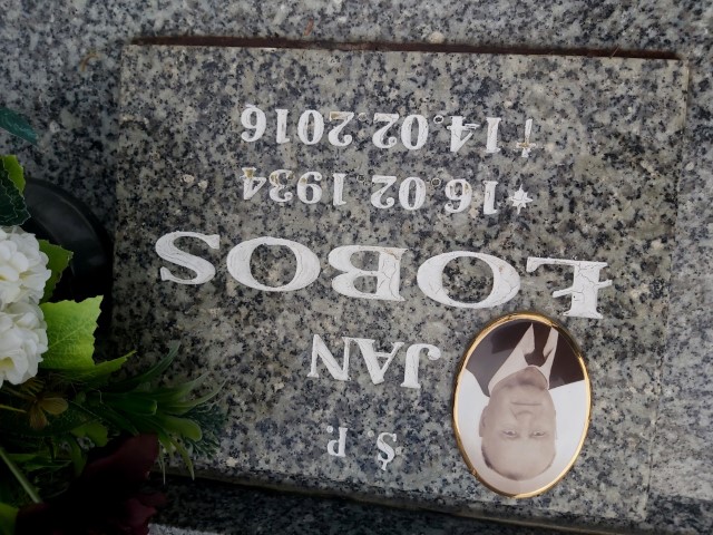 Grób Karolina Łobos