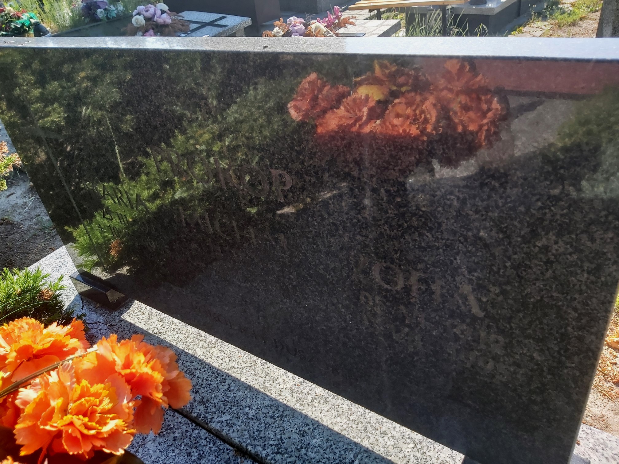 Zofia Prokop 1912 Brzeg - Grobonet - Wyszukiwarka osób pochowanych