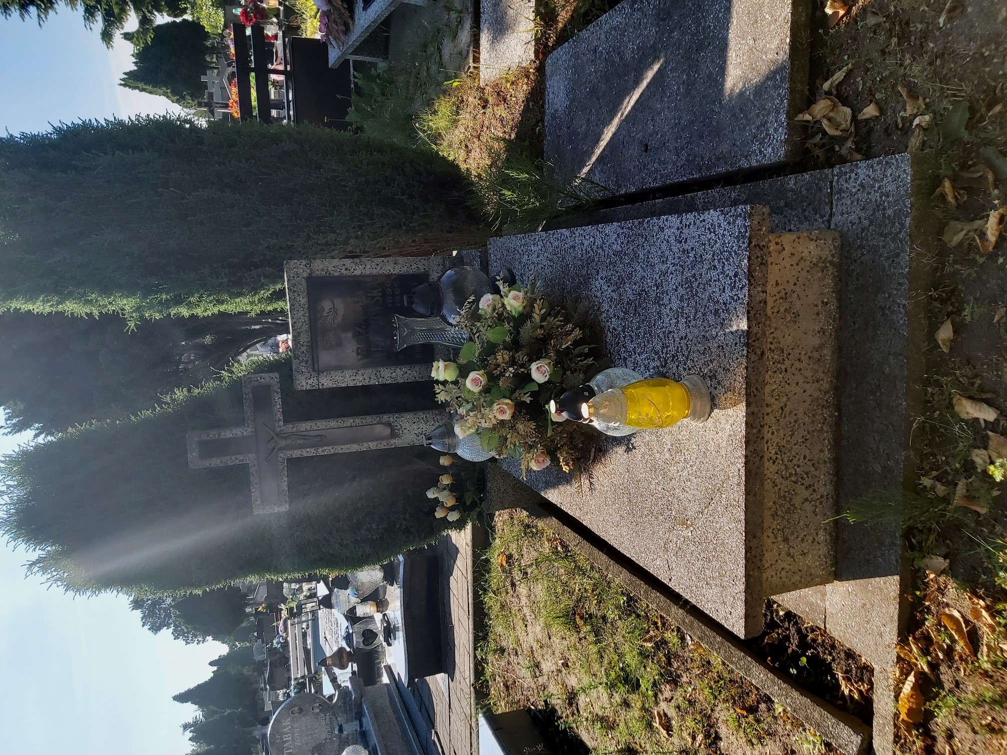 Rozalia Wiczkowska 1890 Brzeg - Grobonet - Wyszukiwarka osób pochowanych