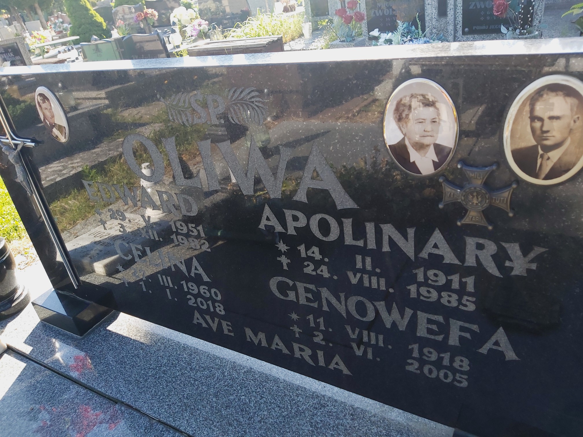 Apolinary Oliwa 1911 Brzeg - Grobonet - Wyszukiwarka osób pochowanych