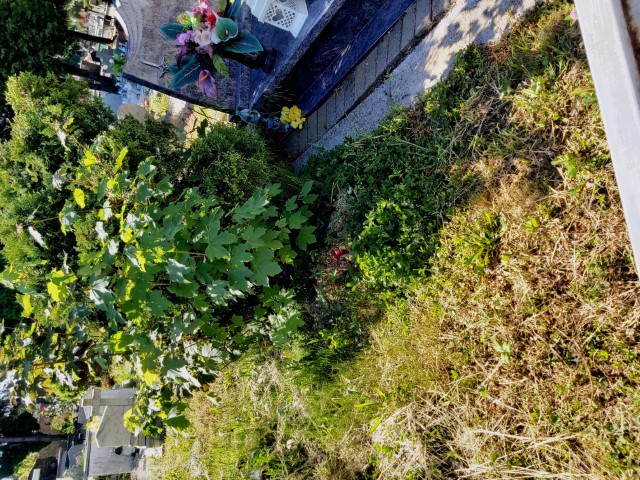 Mariusz Kulik 1974 Brzeg - Grobonet - Wyszukiwarka osób pochowanych