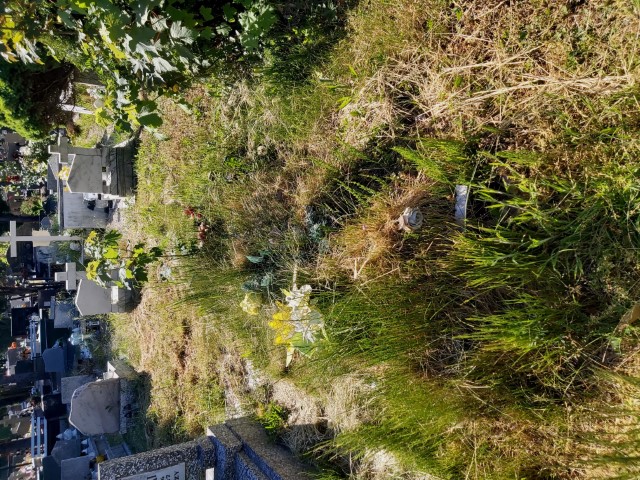 Albin Antoni Gołąbek 1916 Brzeg - Grobonet - Wyszukiwarka osób pochowanych