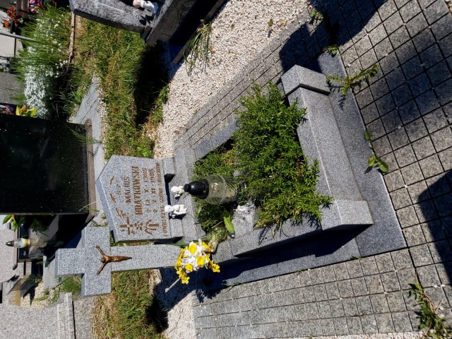 Maciej Bratkowski 1985 Brzeg - Grobonet - Wyszukiwarka osób pochowanych