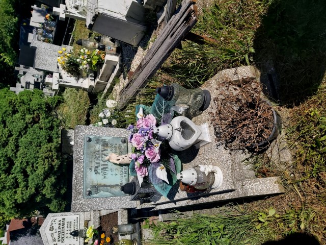 Patrycja Walczyna 1990 Brzeg - Grobonet - Wyszukiwarka osób pochowanych