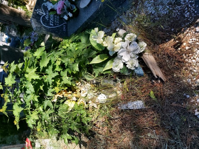  NN 1989 Brzeg - Grobonet - Wyszukiwarka osób pochowanych