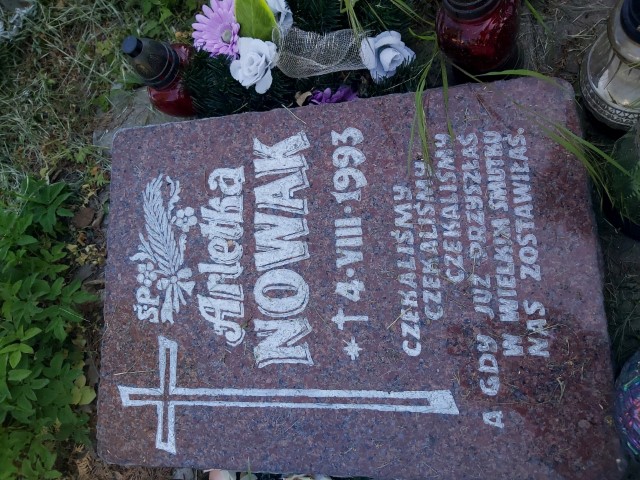 Arleta Nowak 1993 Brzeg - Grobonet - Wyszukiwarka osób pochowanych