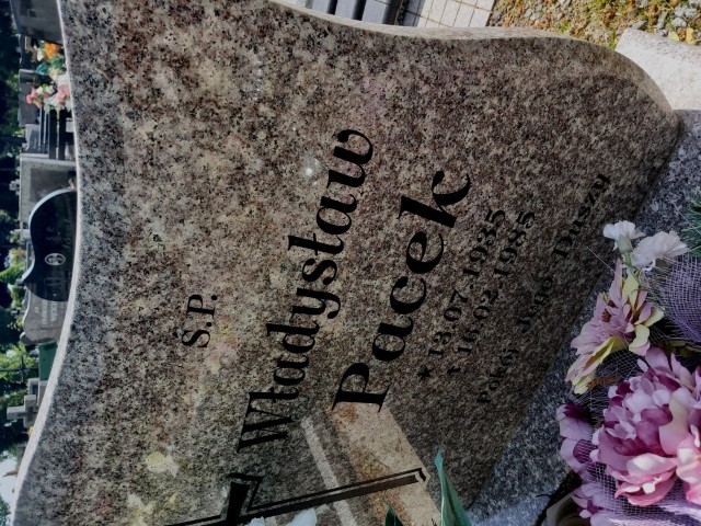 Grób Władysław Pacek