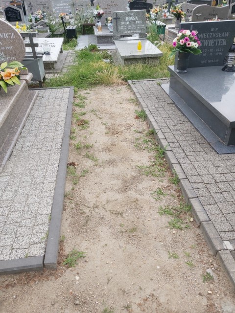 Grób Mieczysław Świętek