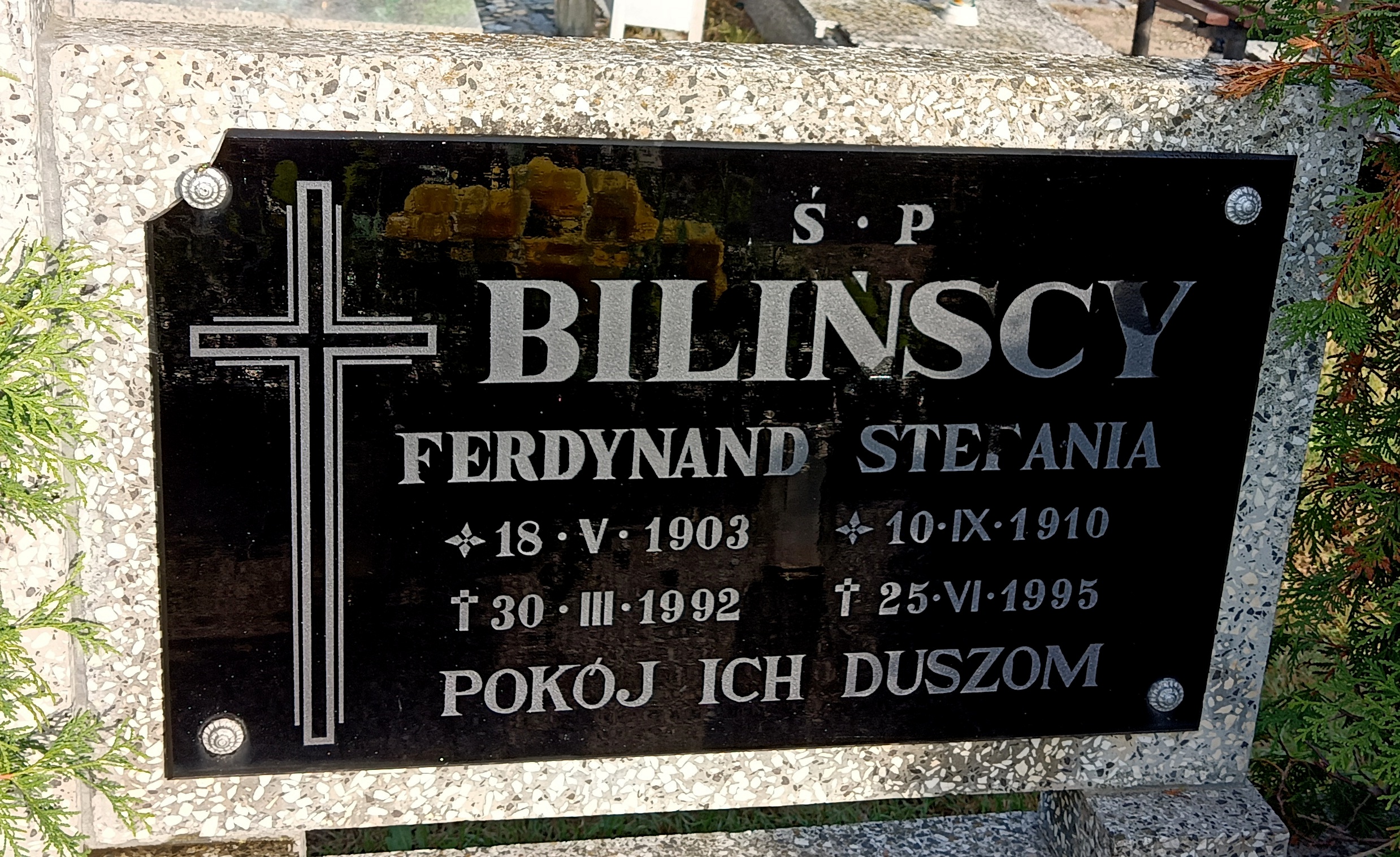Grób Ferdynand Biliński