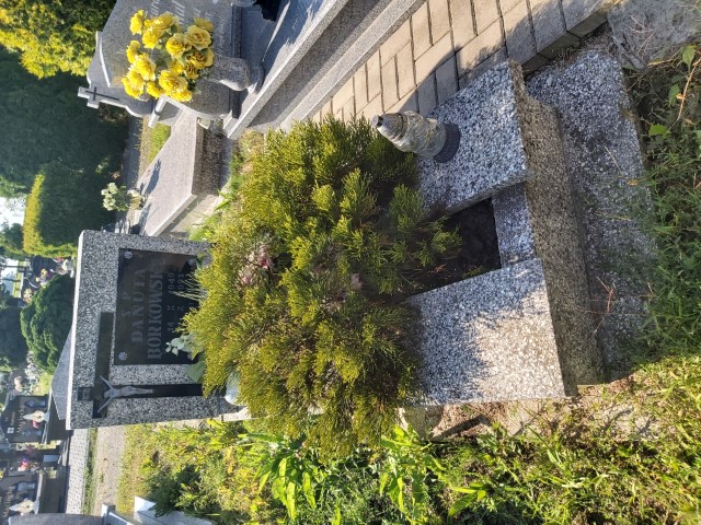 Danuta Borkowska 1949 Brzeg - Grobonet - Wyszukiwarka osób pochowanych