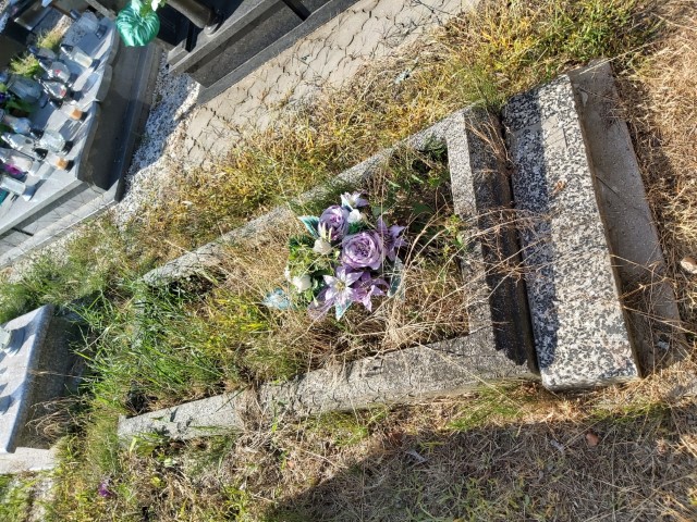 Grób Tadeusz Sierakowski