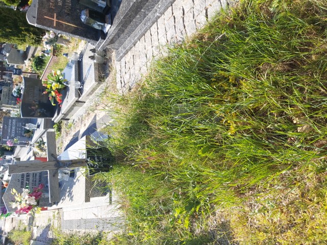 Grób Zbigniew Kiwan