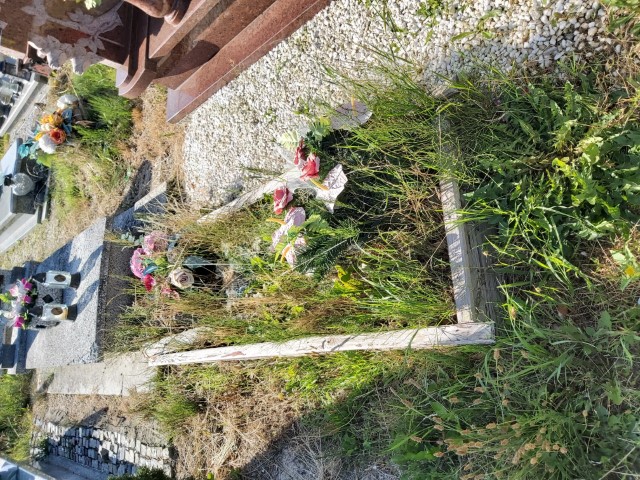 Zofia Szuster 1944 Brzeg - Grobonet - Wyszukiwarka osób pochowanych