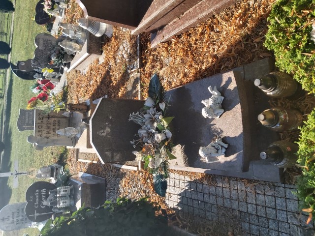 Małgorzata Janiszewska 2004 Brzeg - Grobonet - Wyszukiwarka osób pochowanych