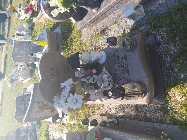 Oliwier Sikorski 2008 Brzeg - Grobonet - Wyszukiwarka osób pochowanych