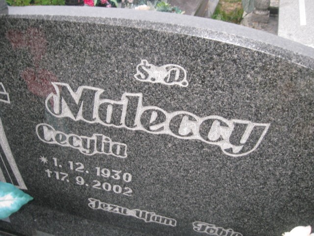 Stanisław Malecki 1930 Brzeg - Grobonet - Wyszukiwarka osób pochowanych