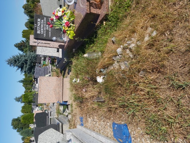 Teresa Byczek 1935 Brzeg - Grobonet - Wyszukiwarka osób pochowanych