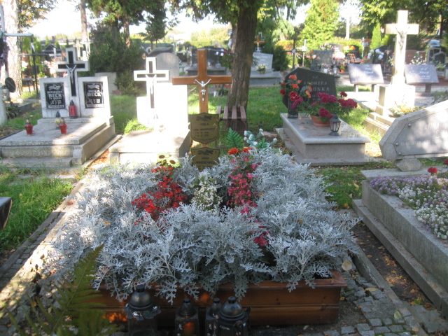 Grób Józef Niwisiewicz