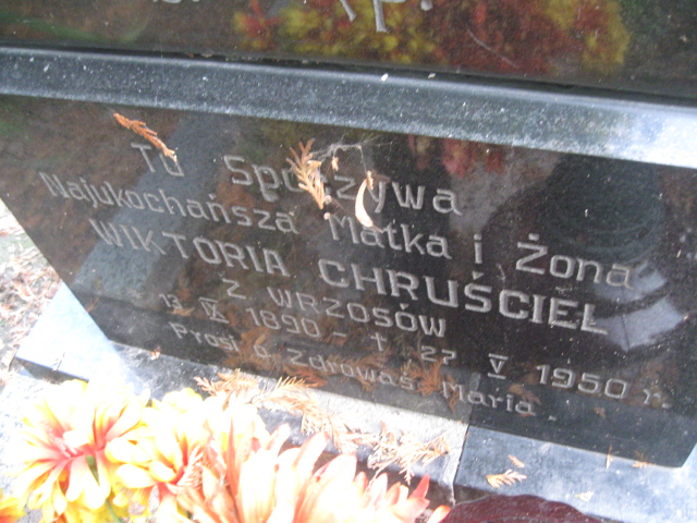 Andrzej Gajak 1957 Brzeg - Grobonet - Wyszukiwarka osób pochowanych